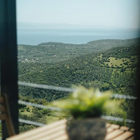 Serotonin Premium Collection Hotel